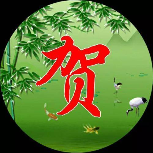 带来好运的微信头像,富贵竹主题加上你的姓氏_相关_文章_整理