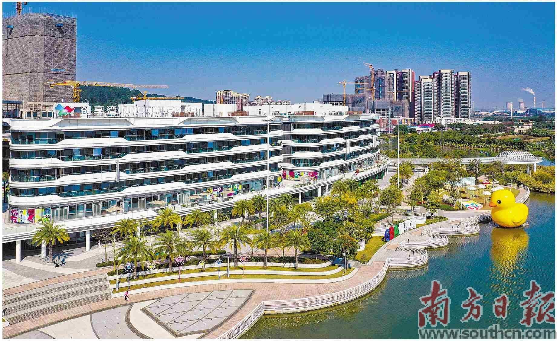创享湾里的青春浪潮_南沙_港澳_杜永发
