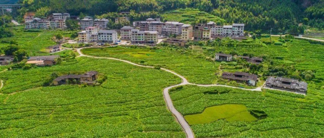 泉州市乡村振兴整镇推进经验全国分享_建设_的发展_中心镇