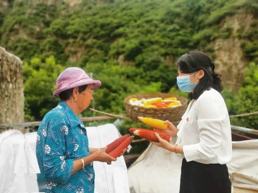 房山的她荣获北京市"人民满意的公务员"称号_蒲洼乡_农产品_销售