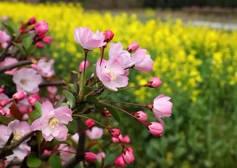 罗含梦鸟罗含,年轻时博学能文,不慕荣利.