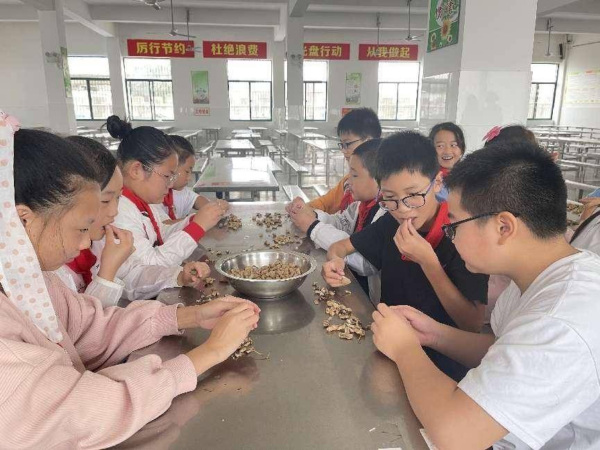 浓浓乡土味 粒粒花生情——记韩洋小学学生采摘花生劳动教育实践活动