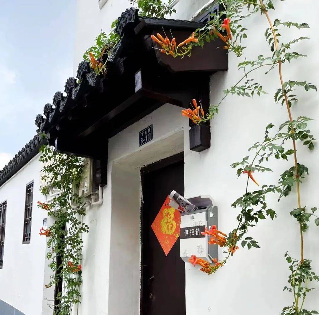 丁香巷,苏州平江路边最浪漫的街巷_传说_路面_巷内