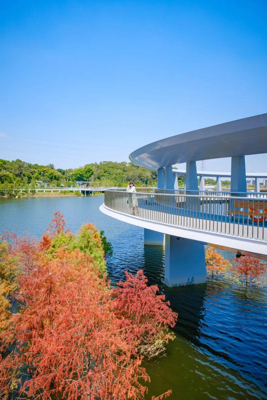 厦门岛内的森林乌托邦,开启一段跨山向海之旅!_skyhigh_水库_东山
