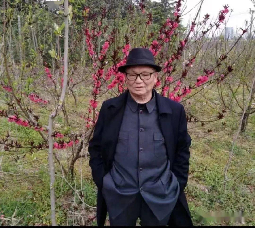 老骥伏枥,鞠躬尽瘁——小记南京市老年人体育协会太