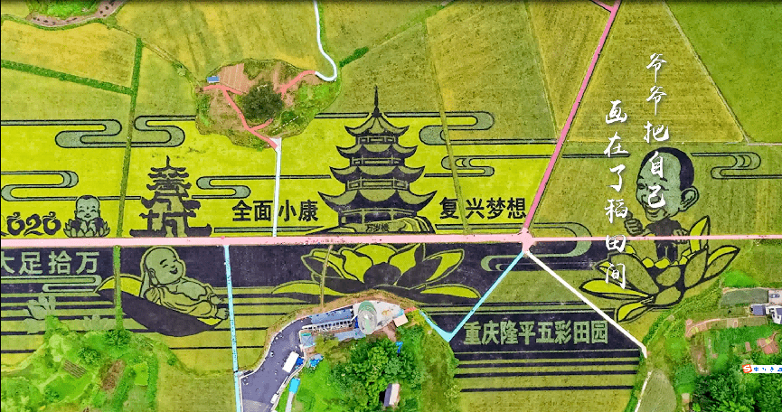 大足_乡村_袁隆平