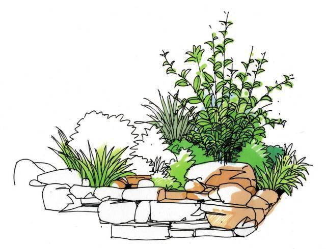 如何轻松画好景观手绘?_植物_画面_关系