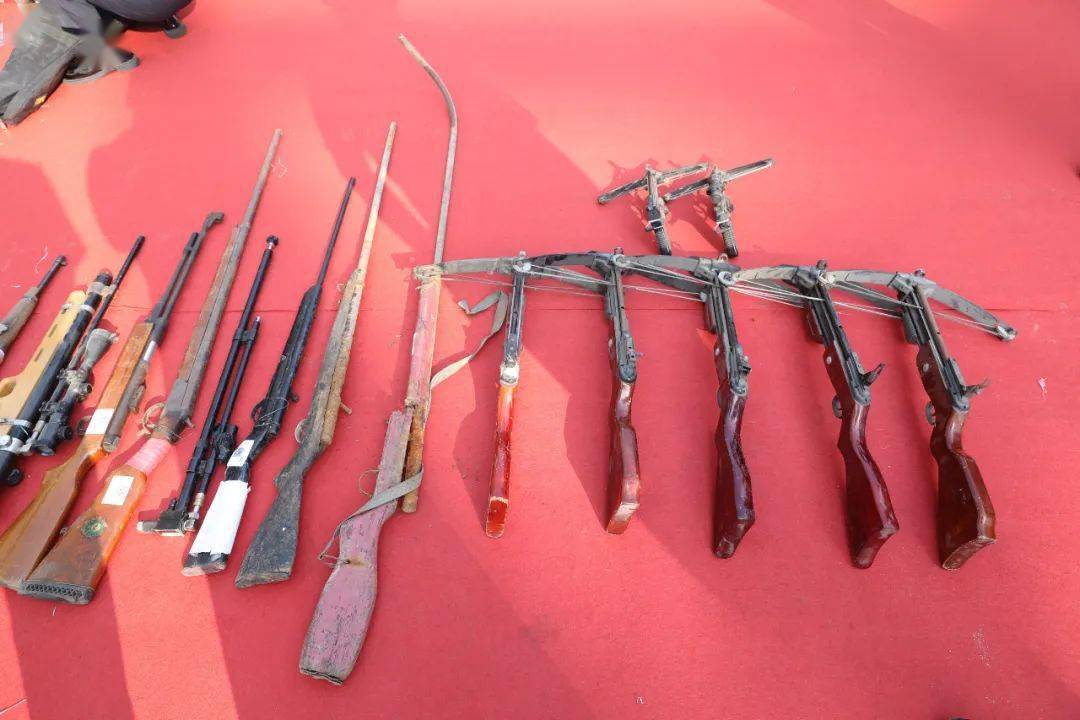 子弹2400发,报废公务用枪8支,收缴的非法枪支16支,管制刀具10把,弩7把