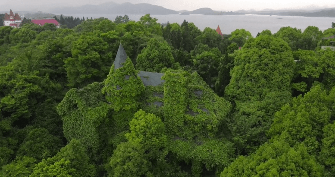 廢棄別墅群,環境優美全是獨棟,長滿荒草倍感荒涼_華城_度假村_紅楓湖