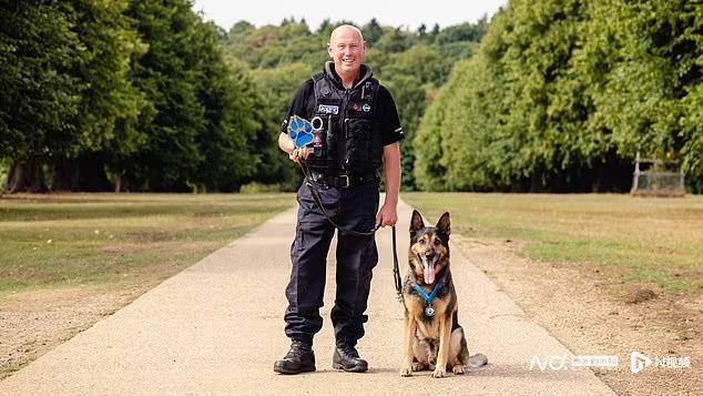 英一警犬获“终身成就奖”，服役七年战功卓著，头部曾中三枪