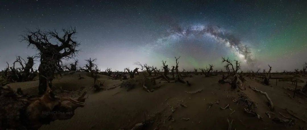 死亡与永恒 | 夜空中国_胡杨林_银河_网站