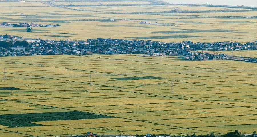 今年四季度家电市场价格战火还会重新燃烧-家电圈官网