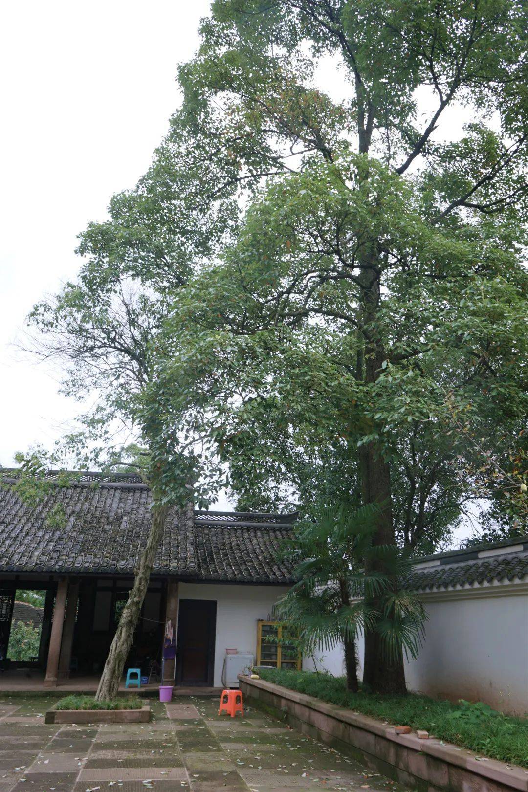 去龙泉山找乐山大佛的哥哥