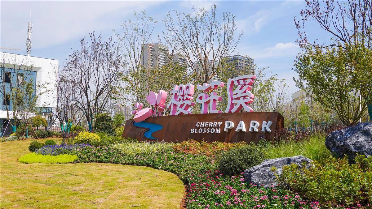 武汉东西湖樱花溪公园基本完工，市民明年有望欣赏武汉最长赏樱道