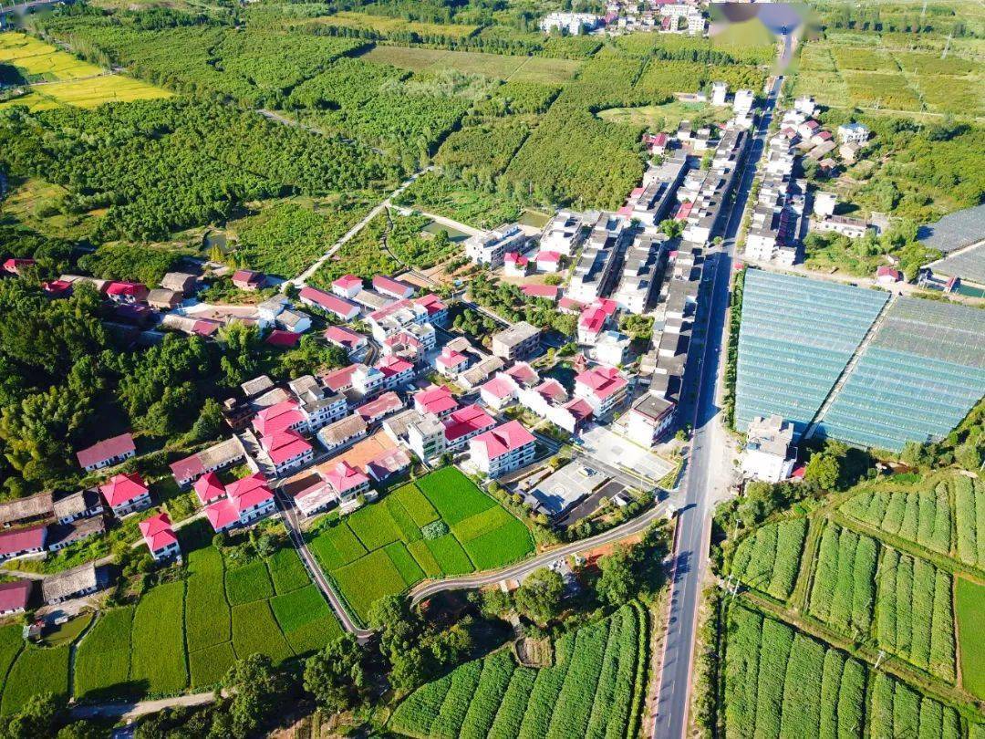 喜看双林镇宋家村绘就美丽乡村新画卷_建设_文明_发展