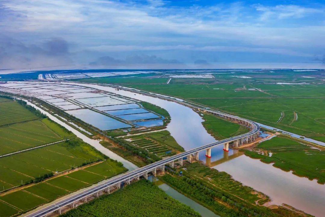 射阳海通大桥图片