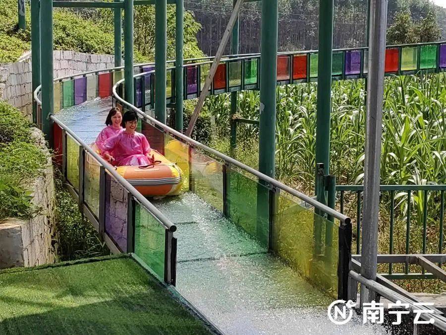 记者 陆海清 摄大陆村按照"农旅融合,文旅融合,以农带旅,以旅兴农"的