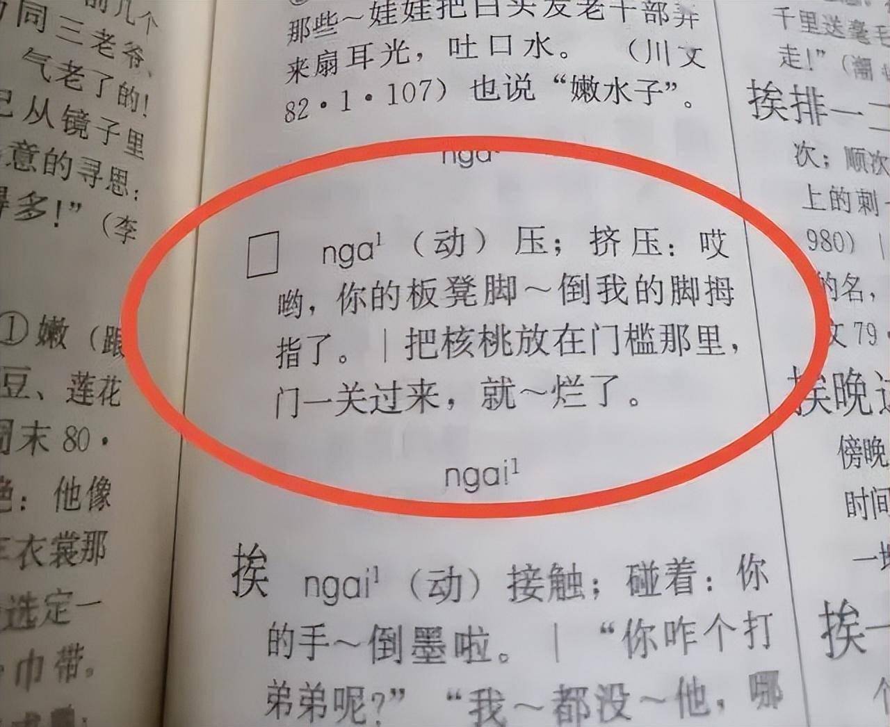 四川的广汉,什邡,彭州等地螃蟹的本地称谓正式拼音来了:ngá nga_盘海