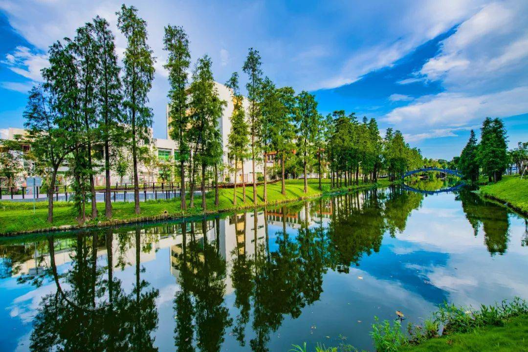 50张美图见证龙江"乡村蝶变"!|我要上佛山发布_陈志坤_李海廉_左滩