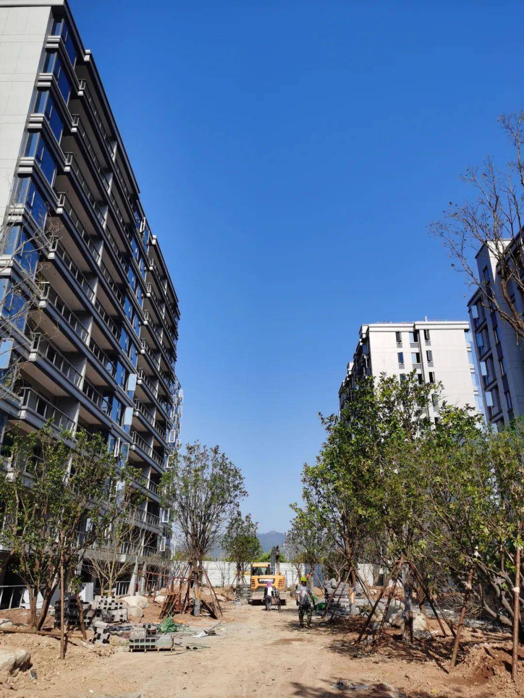 核心企业动态|保集·江湾壹品 不负时光芳华,美好正在发生_兰溪_项目