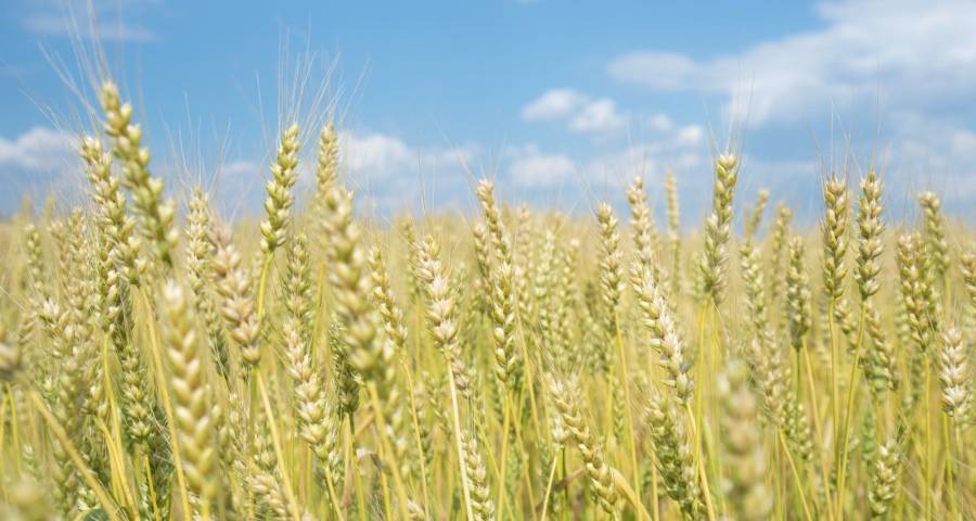 天天盯着“难”字，家电厂商难道只能抱怨或躺平吗？-家电圈官网