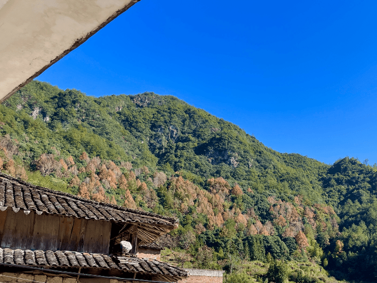 北山镇5条户外徒步路线推荐,风景绝美,你去过几个?_青田_水库_峡谷