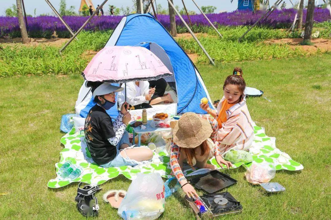 玉溪首屆玉山城花海遊樂園千人花海帳篷節 | 有山,有水,有花海,還有你