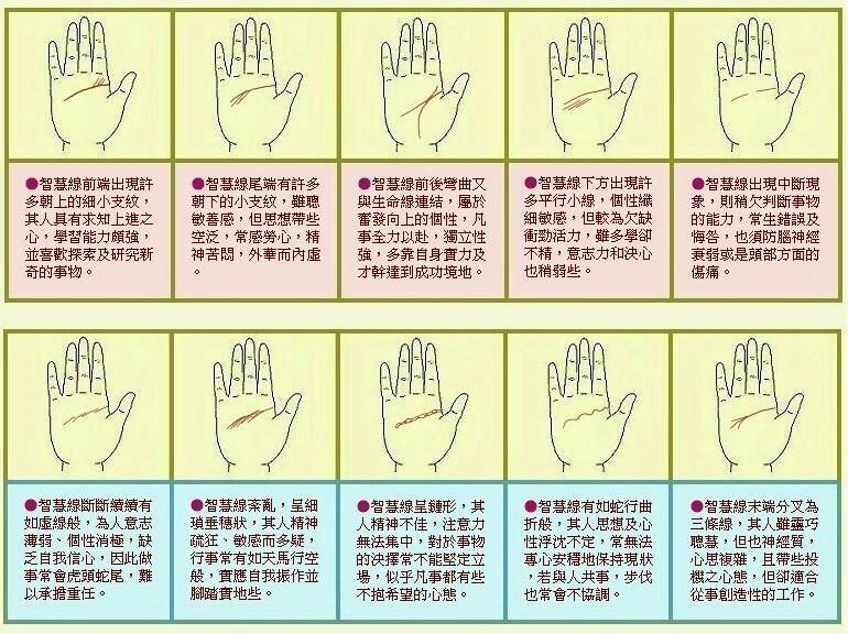 不需要再请教我你适合做什么工作了,你手上的智慧线已经告诉你答案了!