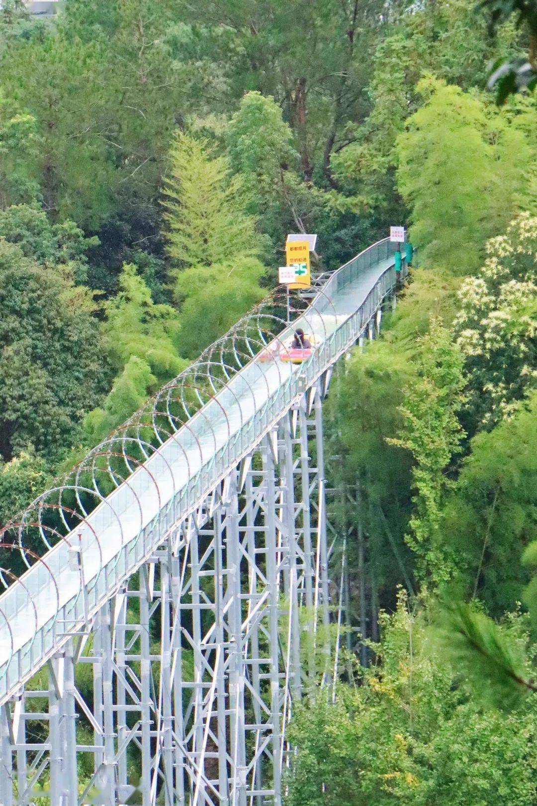 诸暨五泄吓破胆的玻璃栈桥,国庆不来就亏了!_景区_丛林_项目
