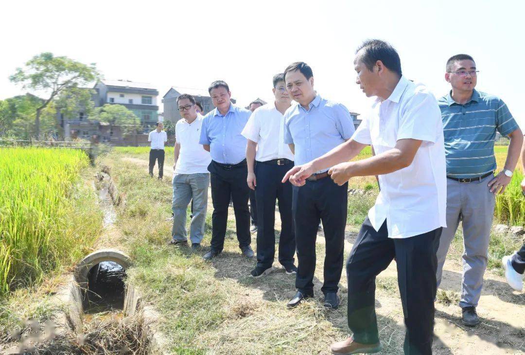 来到丰城市隍城镇锦江滕坊站,严允察看河道水位,应急提灌站运行情况.