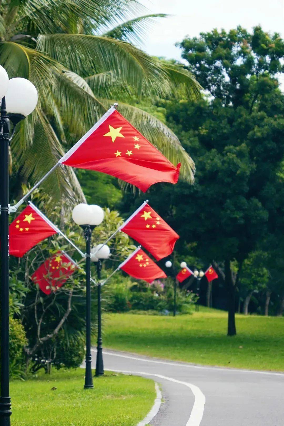 一起打卡深圳街头"中国红"_国旗_红旗_公园