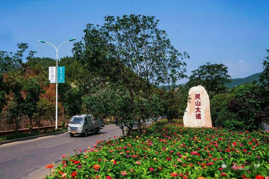 上饶:鲜花盛开的灵山大道_海南_铅山_史志馆