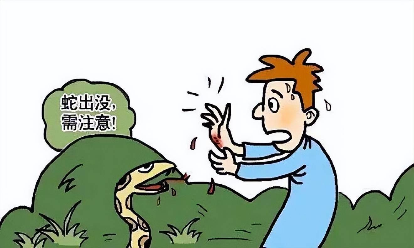 四川营山78岁大爷被"烂草蛇"一口致死!究竟有多毒?