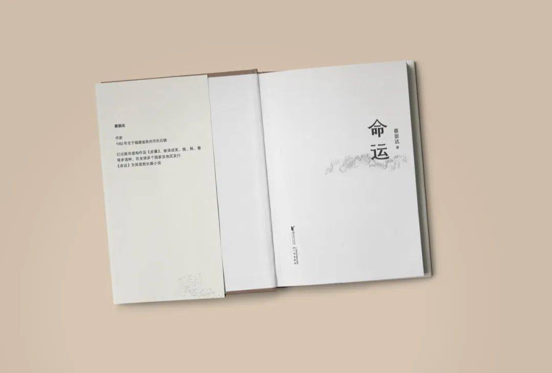 假日荐读丨蔡崇达新作《命运》,平凡人的人生之书_皮囊_故事_生活