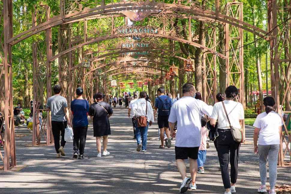 上海崇明景区迎旅游热潮，东平国家森林公园日客流超五千人次