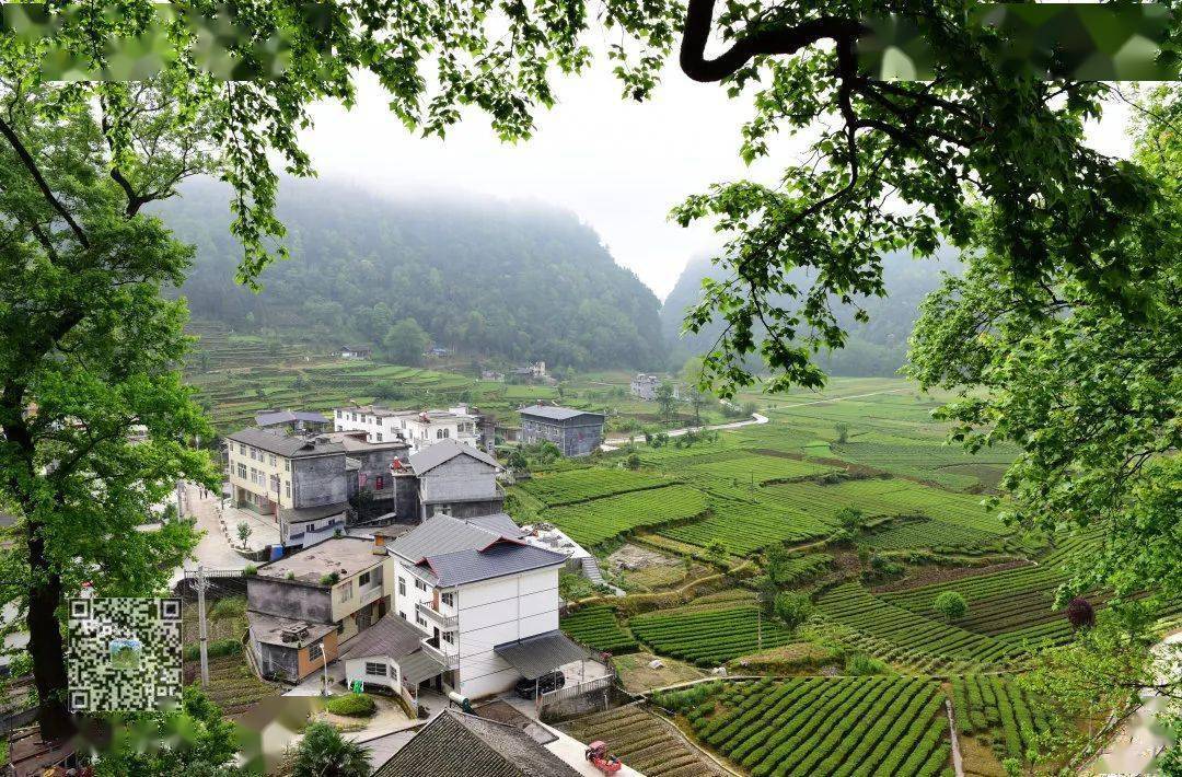 红色美丽村庄行 金洞司村:绿水青山别样红_苏维埃政府_河坝_咸丰