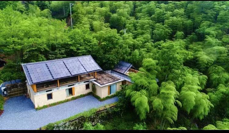 安吉竹林深处3家网红民宿,返璞归真归属感丨南方民宿