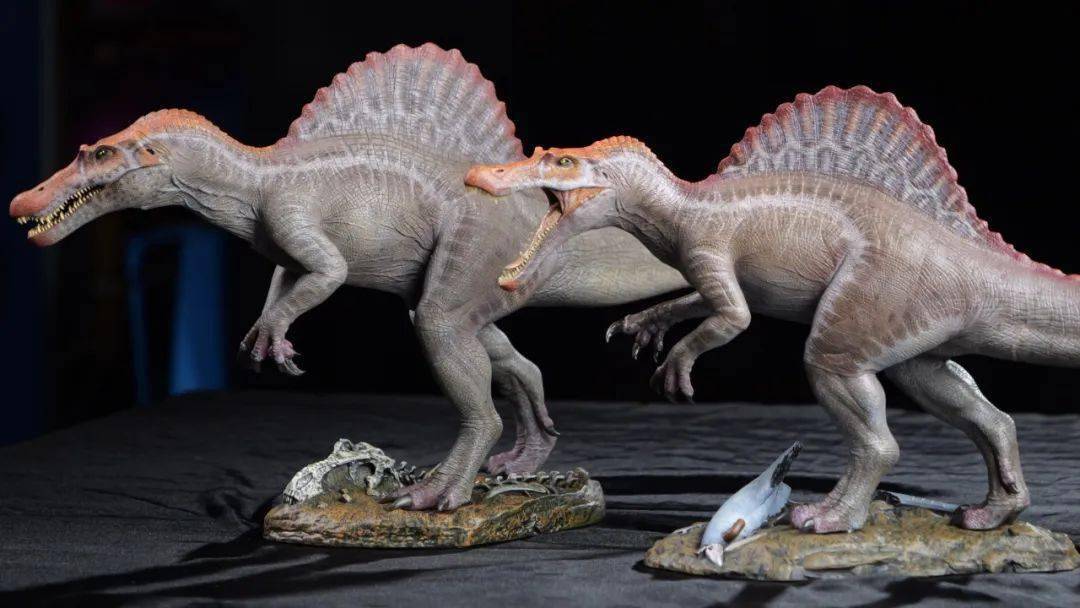 这个国庆节假期,就交给本心楠改棘背龙2.0了!_模型_恐龙_造型