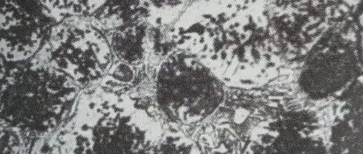 过烧组织定义及其危害概述_热处理_晶粒_淬火