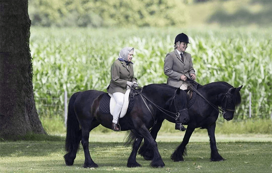 女王爱马在陪伴20多年后葬礼"鞠躬"告别,首席马夫:它有感应_艾玛_主人