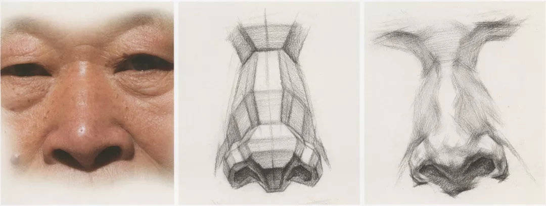 素描五官详解,看这篇搞定素描头像!_变化_形体_鼻子