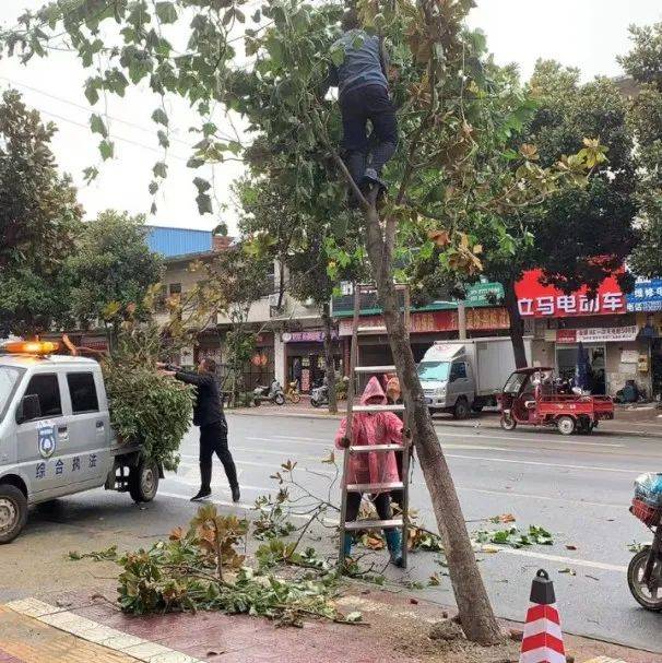 镇平城管加强道路巡查消除安全隐患!及时处置保通畅!_路灯_应急_设施