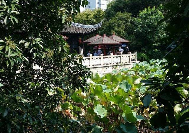 一座上海的“黑帮私人花园”，美景堪比御花园，交通还特别方便！