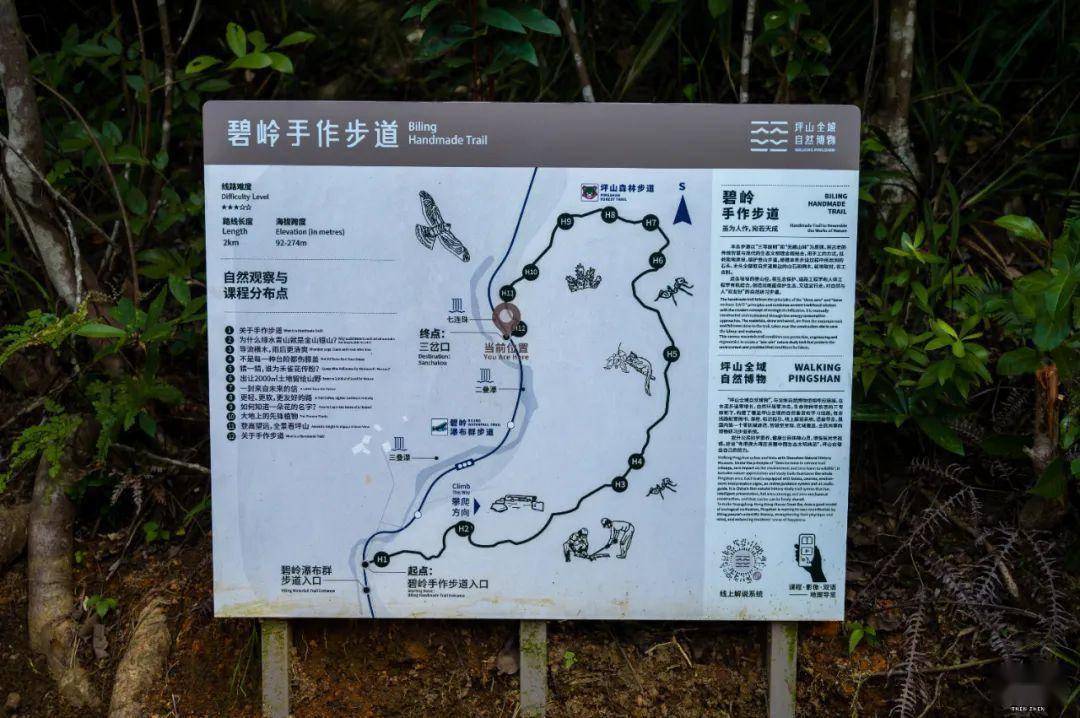 马峦山居然有「手作步道」?_碧岭_公园_山林