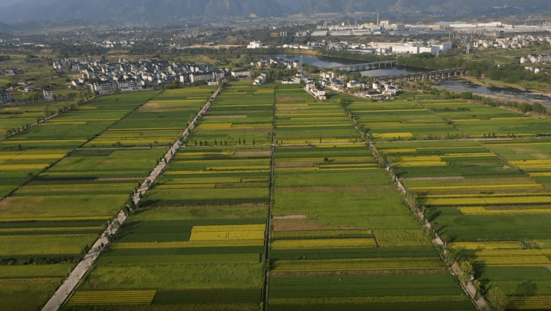 素有"处州粮仓"之说,作为瓯江流域最大的盆地灌区和处州(丽水古称)最