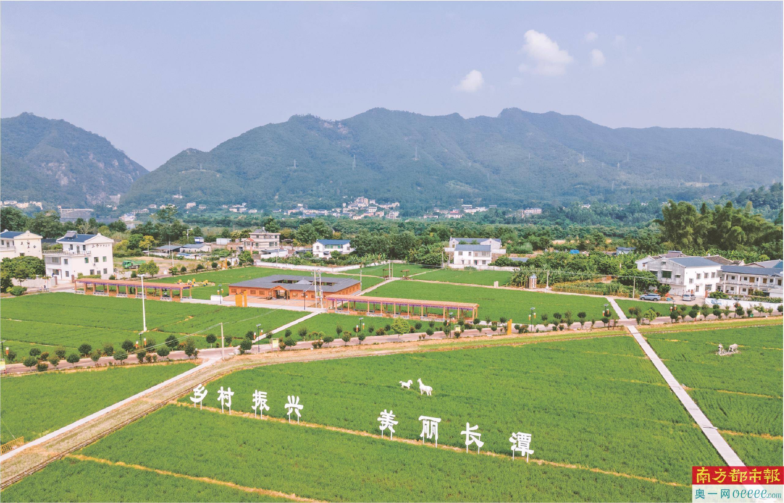 梅州市蕉嶺縣長潭鎮白馬村已成為遠近聞名的網紅村.