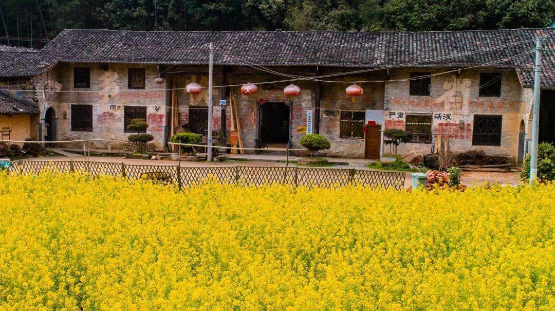 童市镇垛子屋春景从平江县城出发,一路向北,约20公里车程,便到了童