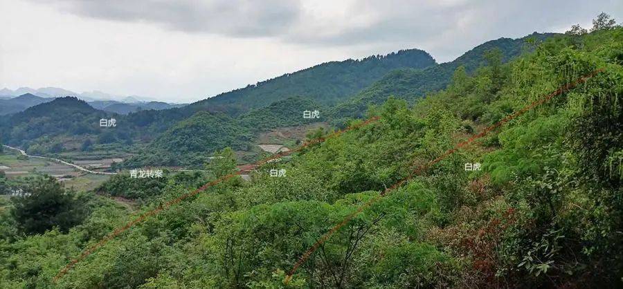 风水宝地之漂亮金星开大窝 结穴小福地