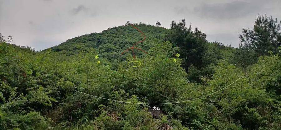 风水宝地之漂亮金星开大窝 结穴小福地_青龙_因为_例子