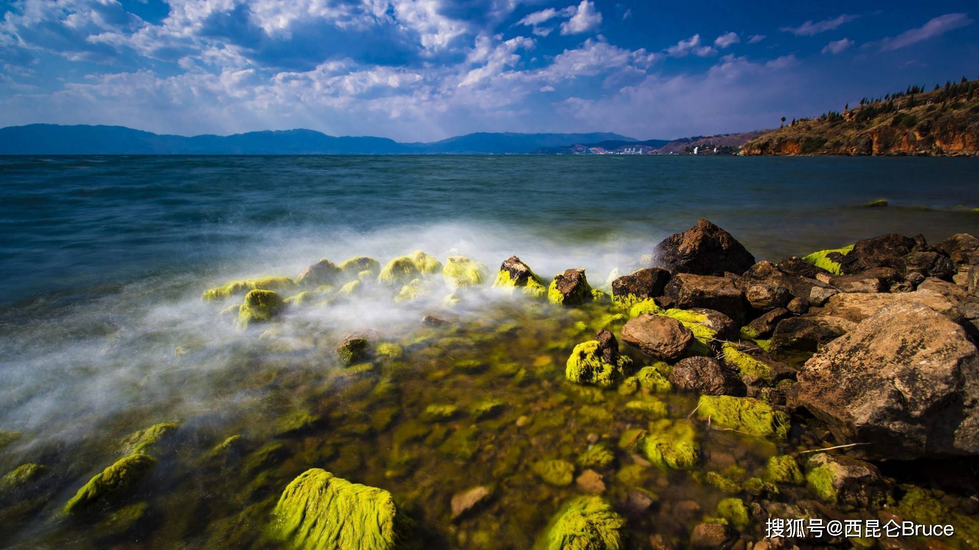 云南抚仙湖再现青鱼阵奇观,密密麻麻汇聚预示着什么?_保护_水质_鱼群